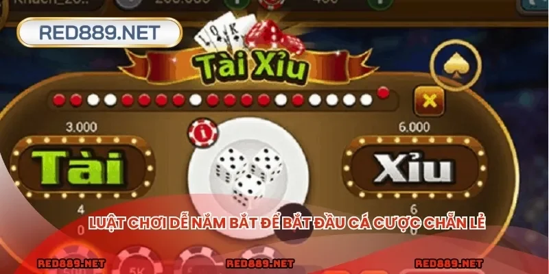 Luật chơi dễ nắm bắt để bắt đầu cá cược chẵn lẻ