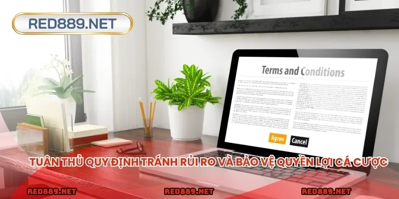 Tuân thủ quy định tránh rủi ro và bảo vệ quyền lợi cá cược