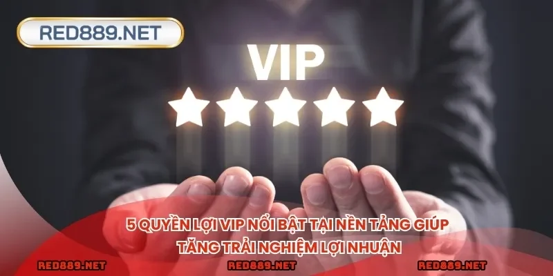 5 quyền lợi VIP nổi bật tại nền tảng giúp tăng trải nghiệm lợi nhuận