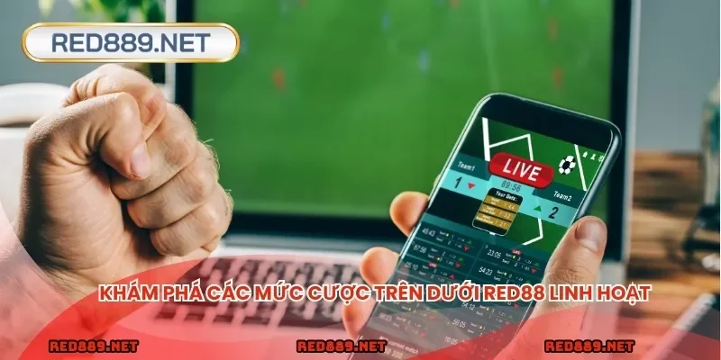 Khám phá các mức cược trên dưới RED88 linh hoạt