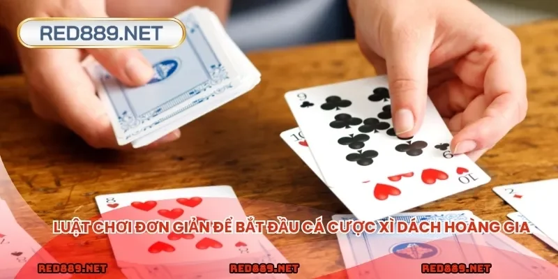 Luật chơi đơn giản để bắt đầu cá cược xì dách hoàng gia